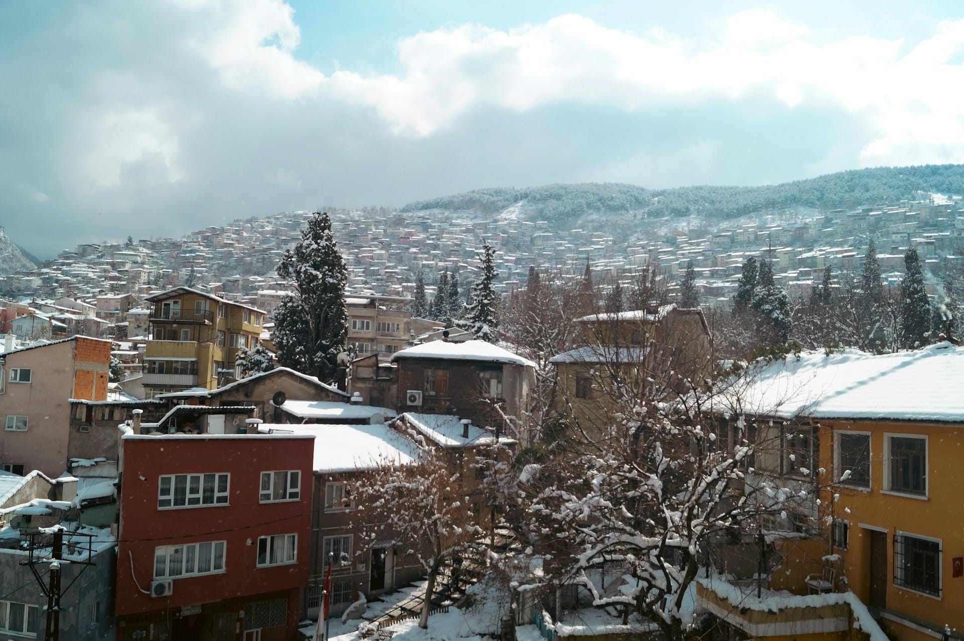 Snow-covered rooftops and trees in a hillside residential neighbourhood.