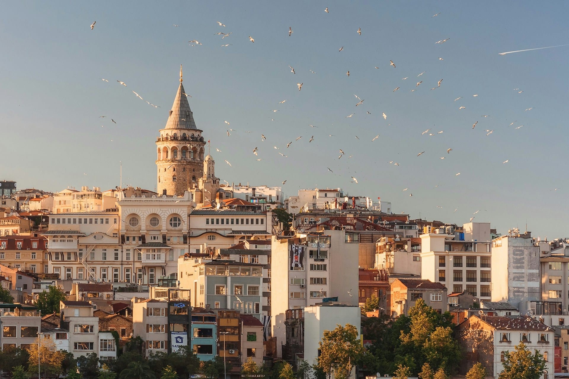 Galata Tower above apartment buildings in Istanbul, with seagulls overhead
