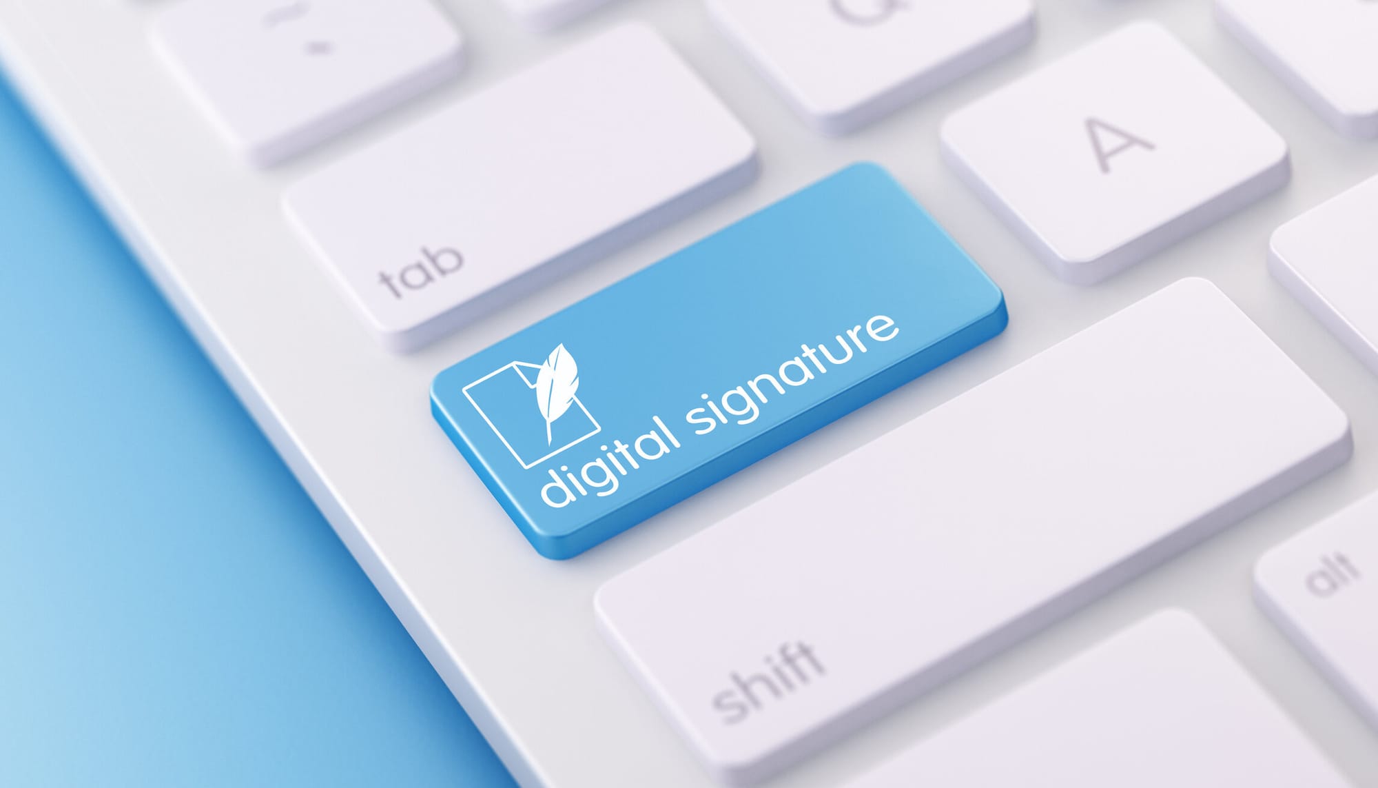 E-Devlet: How to Join Turkey’s E-government Service Portal as a Foreigner