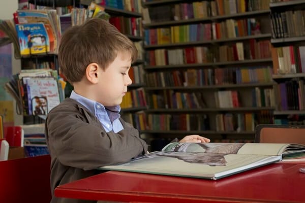 Private Education in Turkey and Homeschooling for Foreign Children