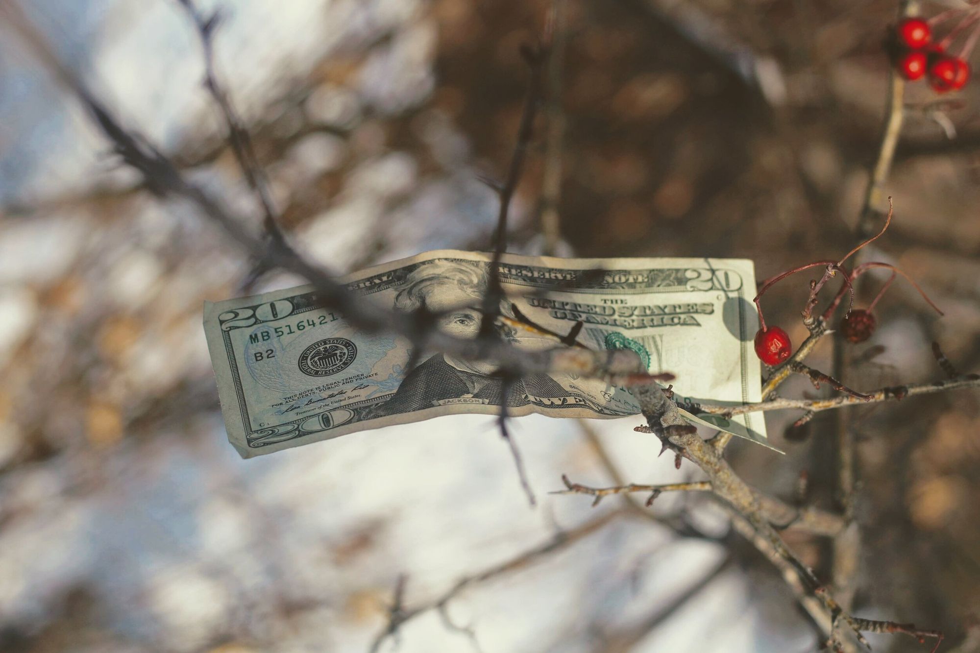 Best International Money Transfers