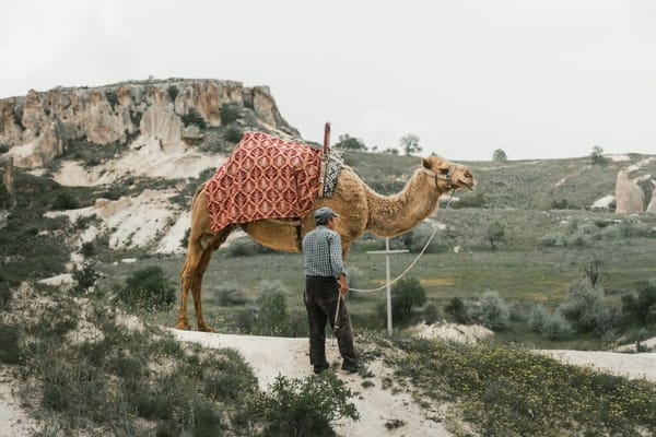 Embracing Turkish Traditions: An Expat Guide to Turkish Festivals and Local Celebrations