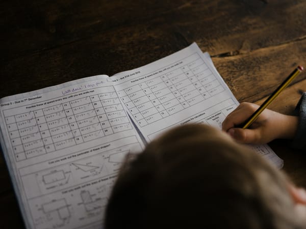 Embracing the Turkish Education System: Schools, Curriculums, Tips for Expats